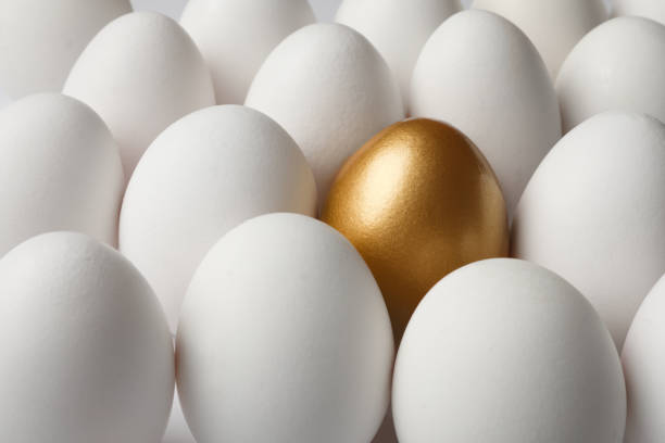 istock Golden egg among ordinary ones as background, closeup 1445742350