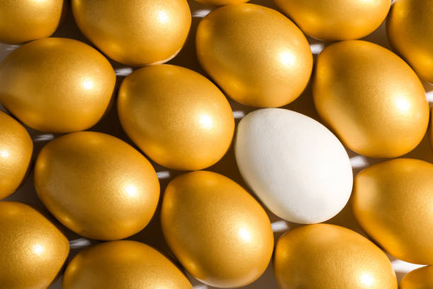白い背景に金色の卵の中の普通の鶏の卵、上面図 - shiny group of objects gem bright ストックフォトと画像
