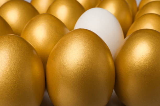 istock Ordinary chicken egg among golden ones as background, closeup 1445745673