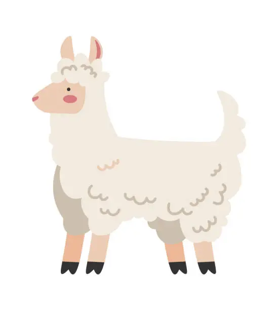 Vector illustration of Funny Llama Alpaca icon. Vector illustration