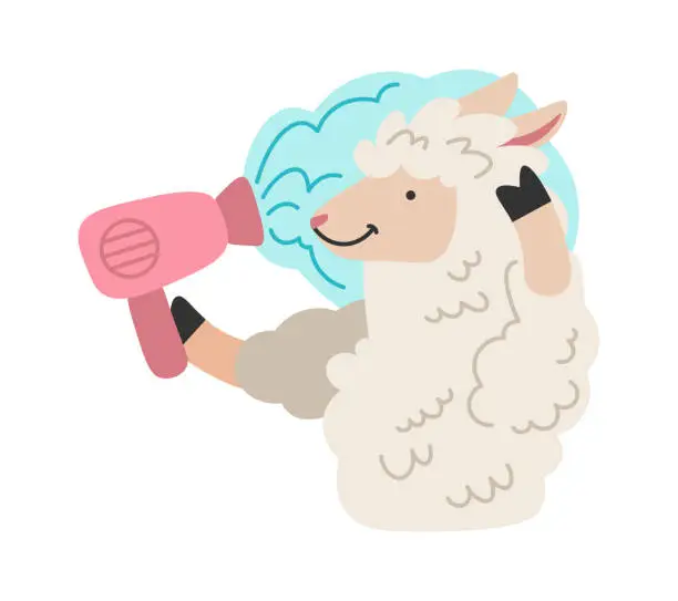 Vector illustration of Lama with hair dryer icon. Vector illustration