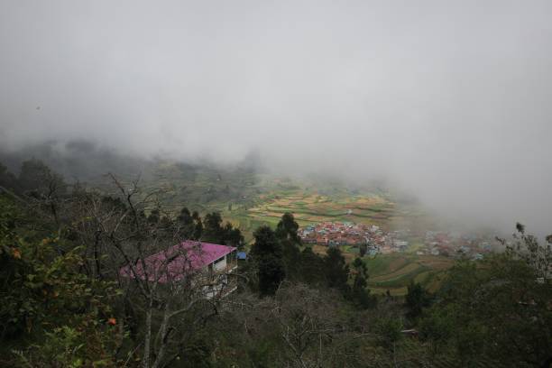 istock Western Ghats near Kodai 1445751558