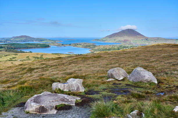 istock Bog and heather landscape in Conemara, Ireland 1445752779