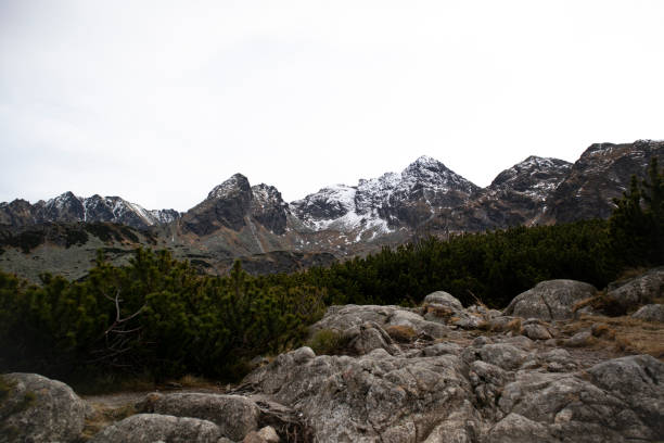 Images from mountain landscape in Zakopane, Poland
