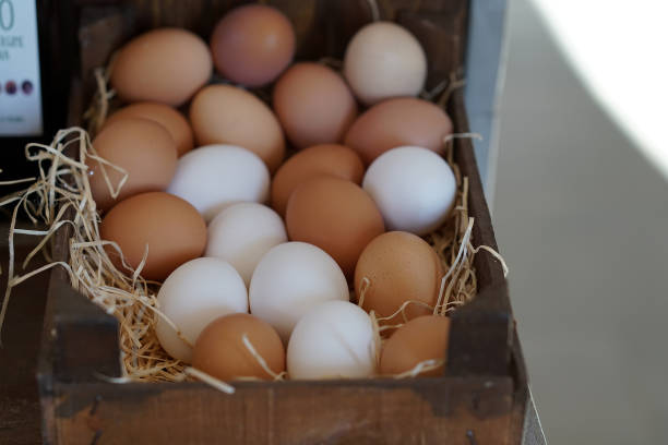 istock Natural eggs from the farm 1445763160