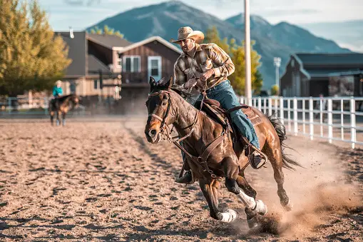 Cowboy Books You Must Read for an Adventure