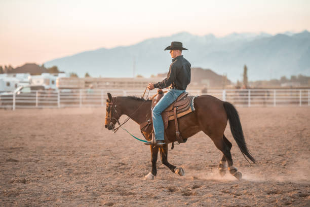 Cowboy Riding A Horse And Holding A Lasso