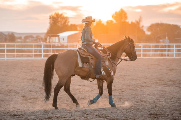 istock Cowboy Riding A Horse And Holding A Lasso 1445763933