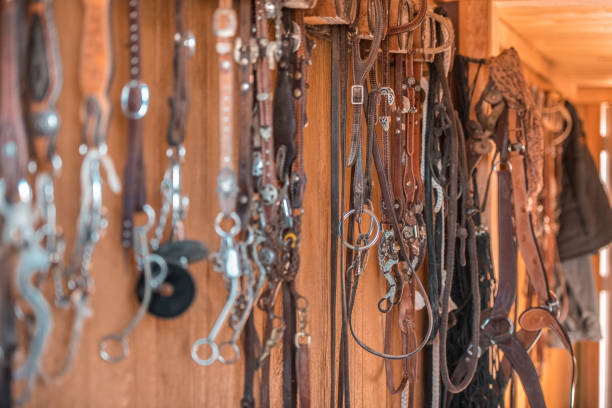 istock Bridles Hanging On The Wall 1445764414