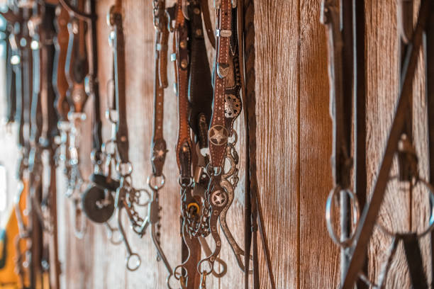 istock Bridles Hanging On The Wall 1445764417
