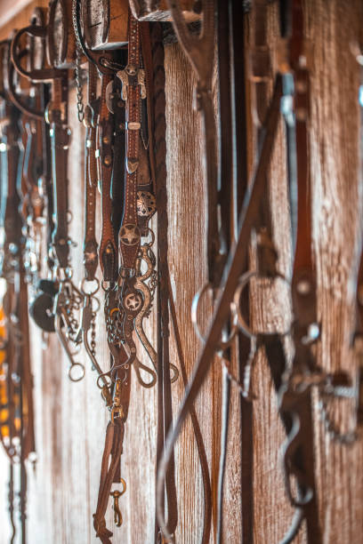 istock Bridles Hanging On The Wall 1445764424