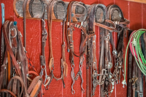 istock Bridles Hanging On The Wall 1445764428