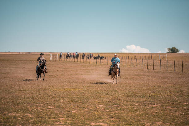istock Cowboys Lassoing On The Ranch 1445764886