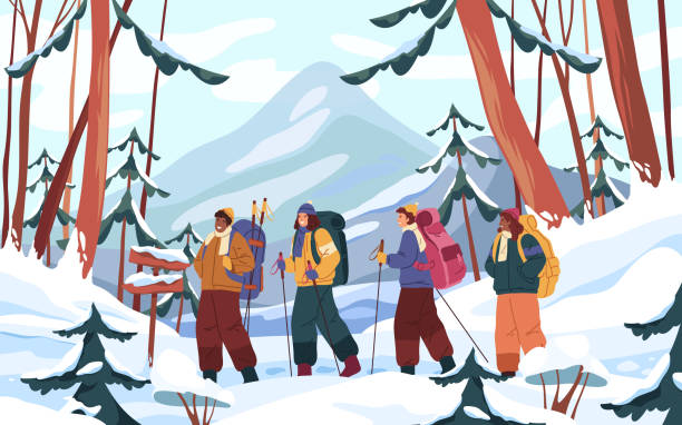 ilustraciones, imágenes clip art, dibujos animados e iconos de stock de alpinismo invernal o senderismo, vista alpina, vector - winter scape