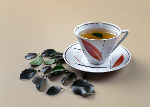 A branch and leaves of Yaupon holly lie near a porcelain cup and teapot on beige background. Tonic herbal tea.