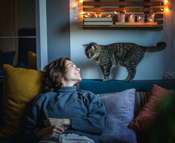 Cute cheerful young woman in her 30s spending cozy home  time sitting with a gray cat on the sofa stock photo