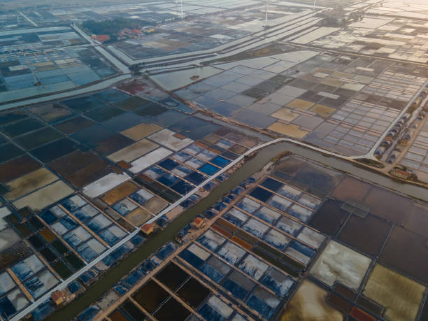 istock Top view of colorful salt pans at sunset 1445773400