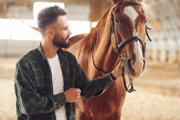istock Young man with a horse is in the hangar 1445775205