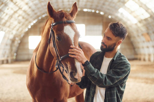 istock Young man with a horse is in the hangar 1445775219