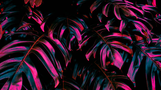 istock Tropical leaf, neon glow in the dark 1445775300
