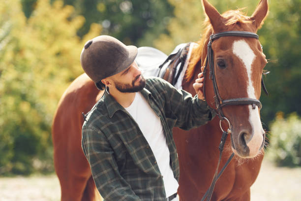 istock In protective hat. Young man with a horse is outdoors 1445775446