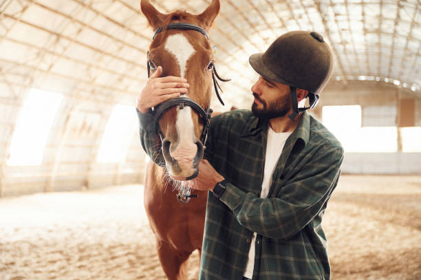 istock Front view. Young man with a horse is in the hangar 1445775564