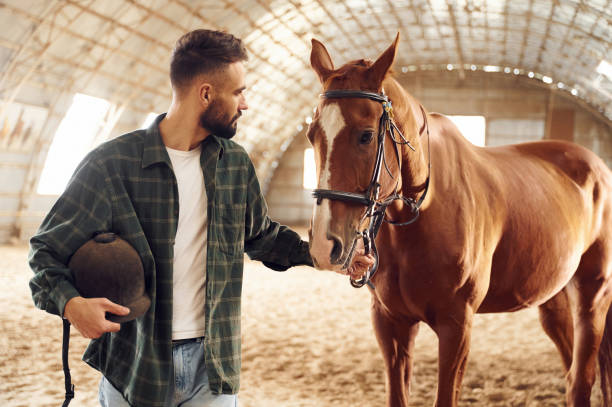 istock Positive emotions. Front view. Young man with a horse is in the hangar 1445775657