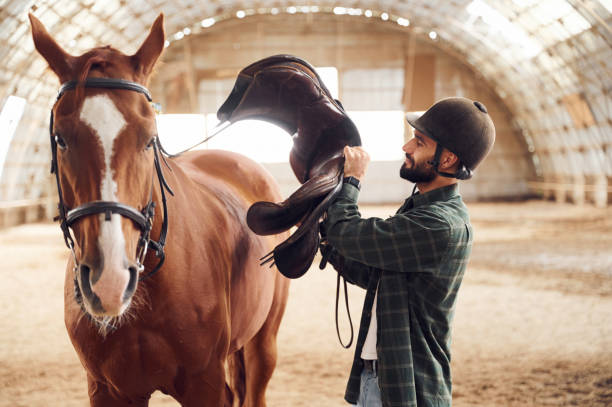 istock Holding and installing saddle. Young man with a horse is in the hangar 1445775925