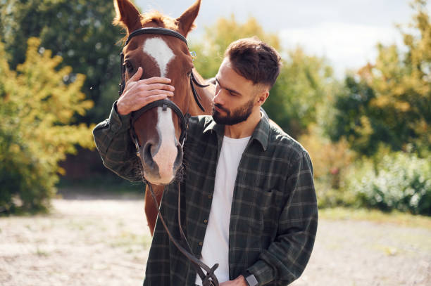 istock Front view. Young man with a horse is outdoors 1445776152