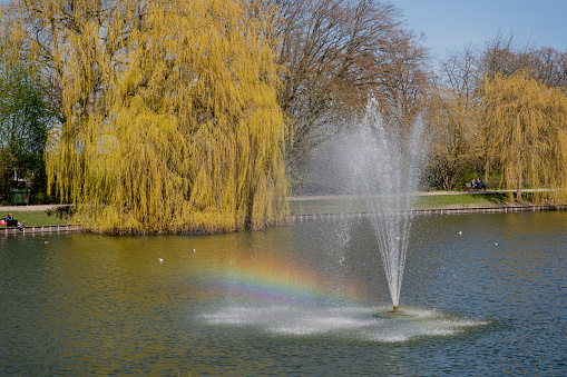 A rainbow formed in the lake with a fountain.
