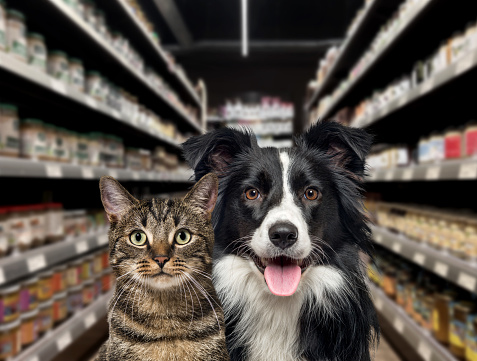 Cat and dog looking at the camera, in front of food shelves in a pet store. The background is blurred and dark.