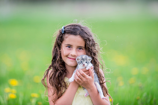 A sweet little girl of Hawaiian decent sits in the grass with her pet kitten as they enjoy the warm sunshine.