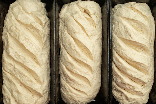 3 breads ready to be baked, raw dough background, soft focus close up.