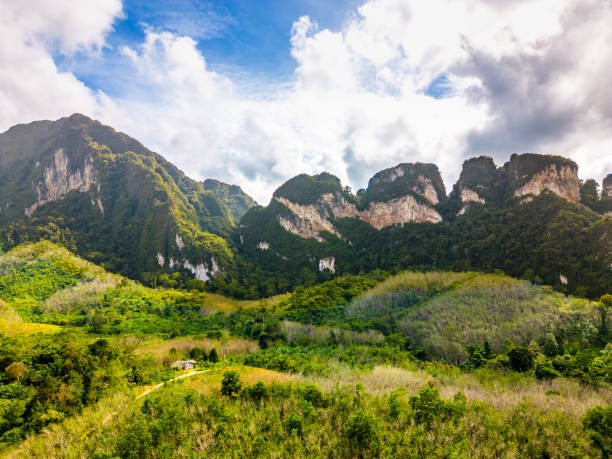 Aerial drone view of Khao Sok national park, Thailand. Jungle, palms and tropical forest. Mountains in background. Aerial drone view of Khao Sok national park, Thailand. Jungle, palms and tropical forest. Mountains in background. kao sok national park stock pictures, royalty-free photos & images