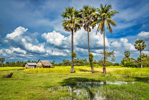 Rural Landscape and House in Cambodia