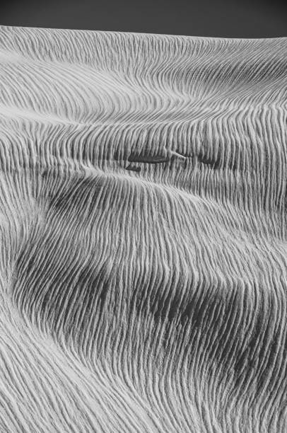 istock Textured snowslope on the Juneau Icefield 1445793942