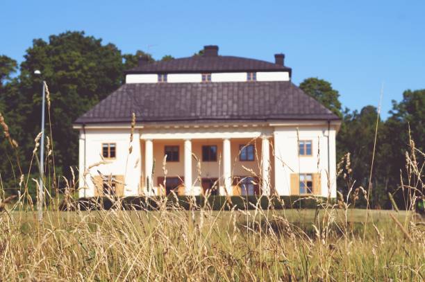 istock Tall grass growing in front of a building 1445795091