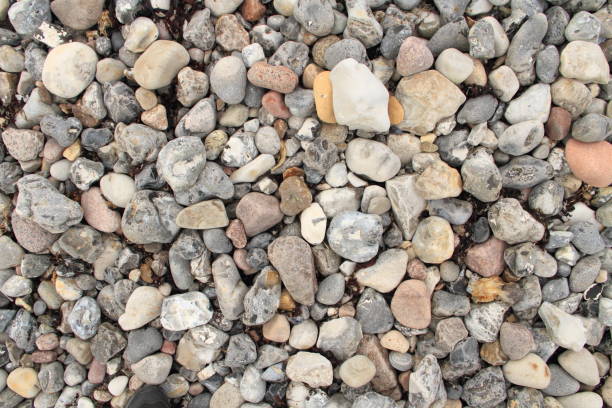 istock colorful pebbles on the beach 1445795767