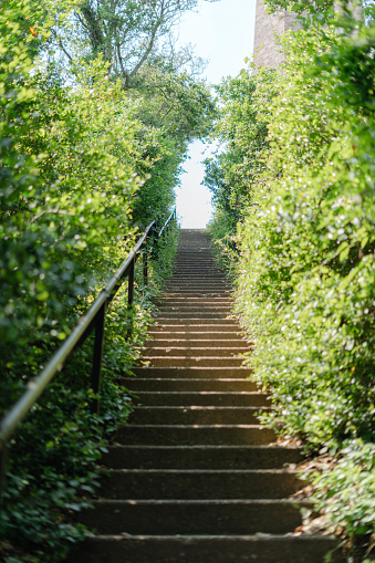 Stair path is surrounded by ivy growing on the walls and leads to the top of a hill.