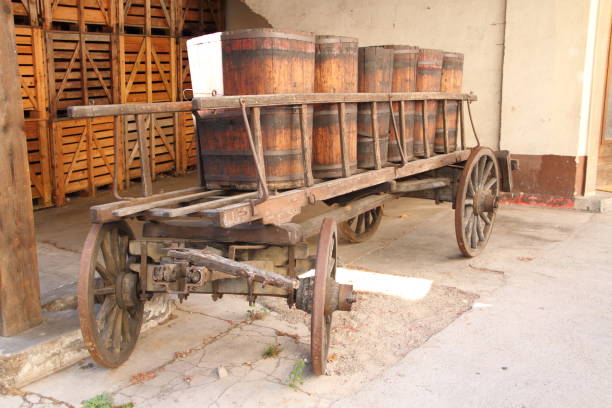 istock an old historic horse-drawn carriage with wine barrels 1445796786