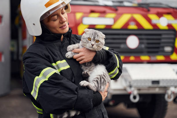 istock Conception of savior. Holding cat in hands. Woman firefighter in uniform is at work in department 1445797011