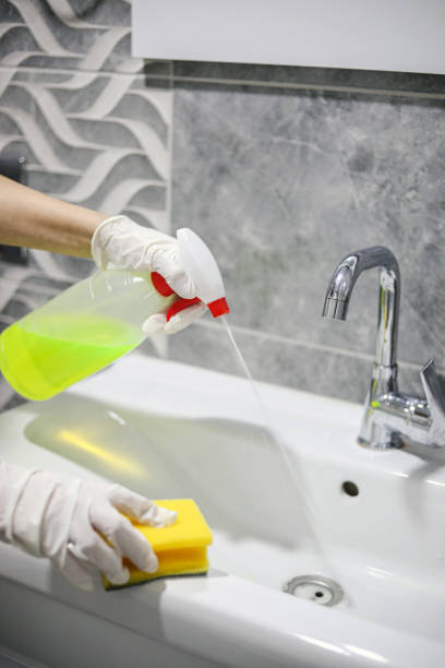 istock Hygiene, Bathroom Cleaning, Bleach, Housework 1445799504