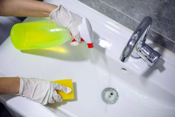 Hygiene, Bathroom Cleaning, Bleach, Housework