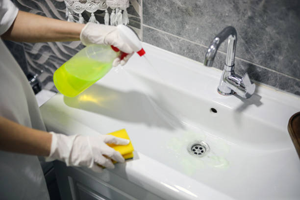 istock Hygiene, Bathroom Cleaning, Bleach, Housework 1445799827