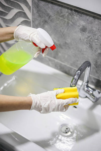 istock Hygiene, Bathroom Cleaning, Bleach, Housework 1445799919