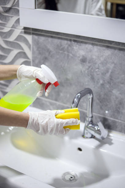 istock Hygiene, Bathroom Cleaning, Bleach, Housework 1445799986