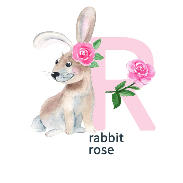 Funny Alphabet R With Rabbit Illustrations, Royalty-Free Vector Graphics &  Clip Art - iStock
