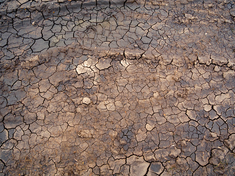 Dried up and cracked mud surface on a rural track.
