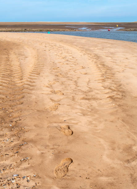 istock Footsteps in the sand at Wells-next-the-Sea 1445807498