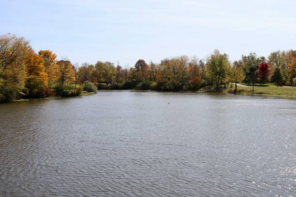 istock Lake on a Autumn Day 1445809140